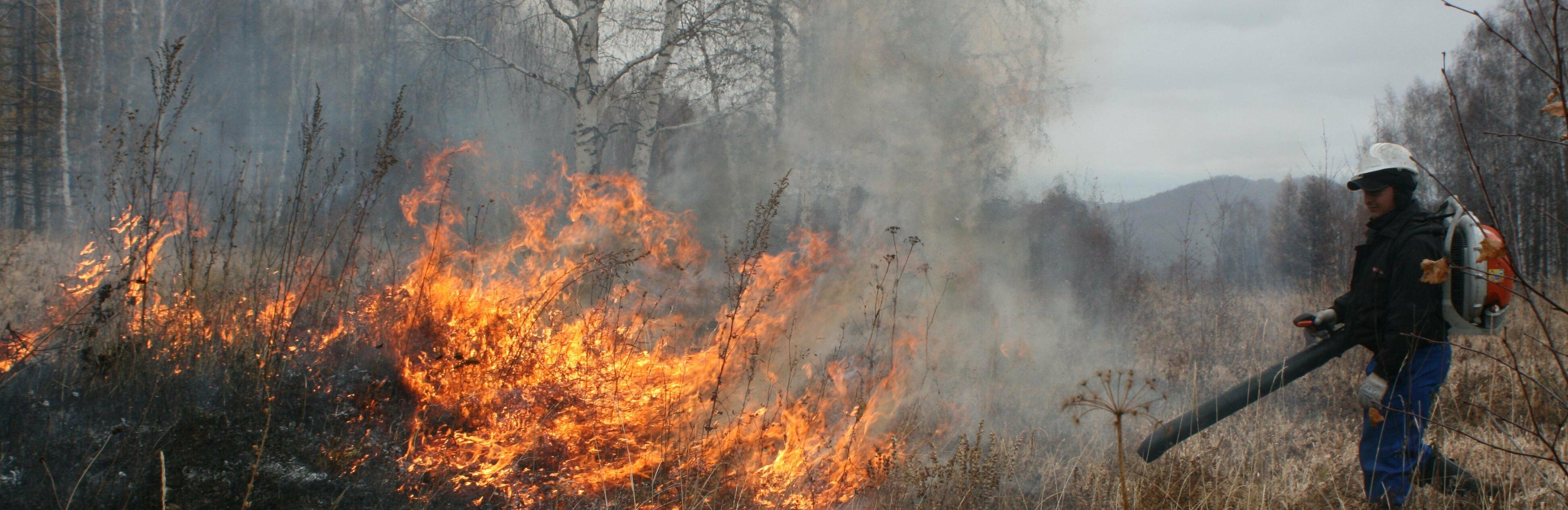 На Камчатке ликвидирован природный пожар на площади более 100 га